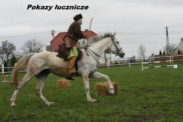 Pokazy 