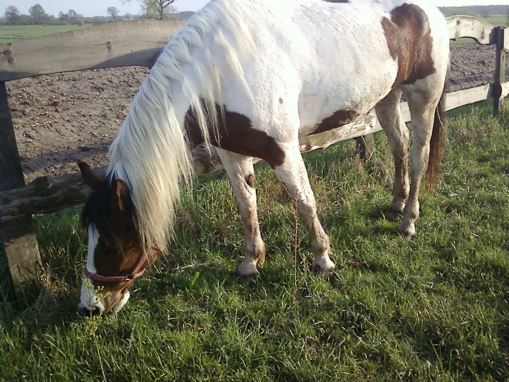 Indianka *.*