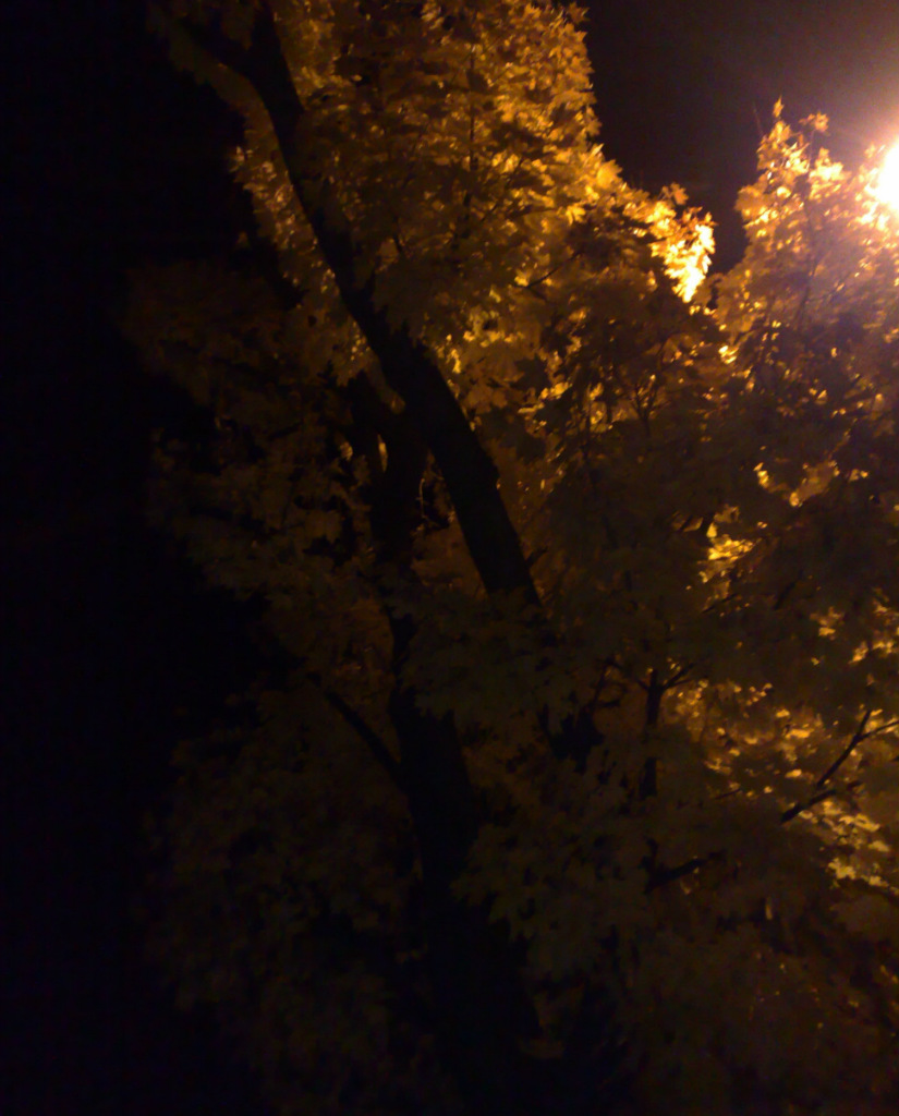 Dark