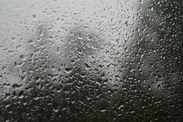 Rain 
