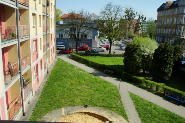 wiosna, wiosna, pada kurwa