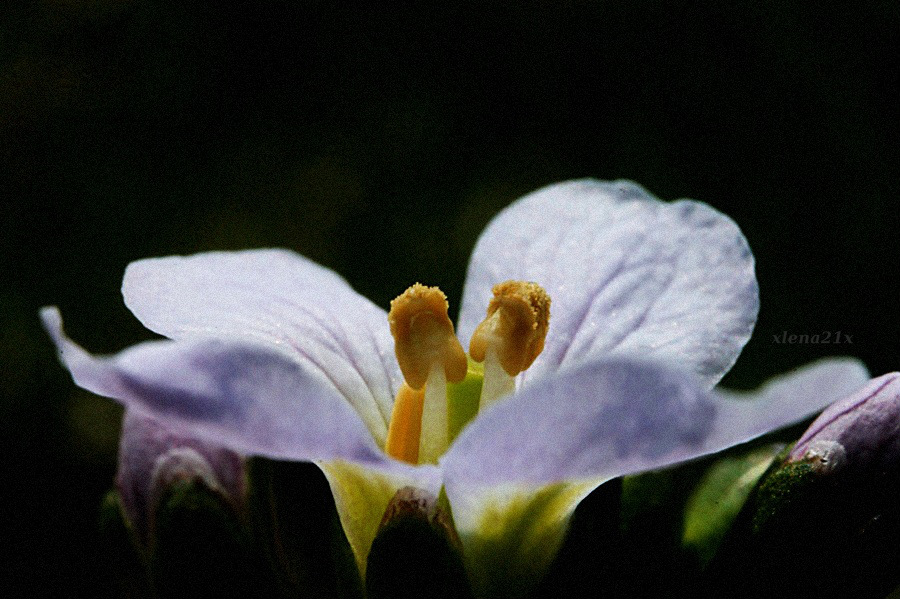584.