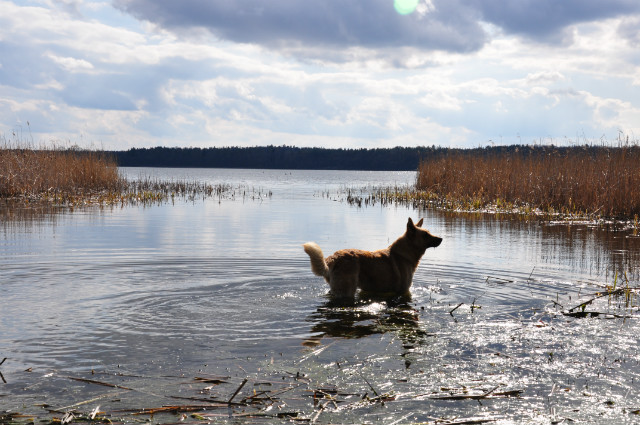 Jezioro Rucewskie
