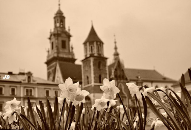 majowy Wawel