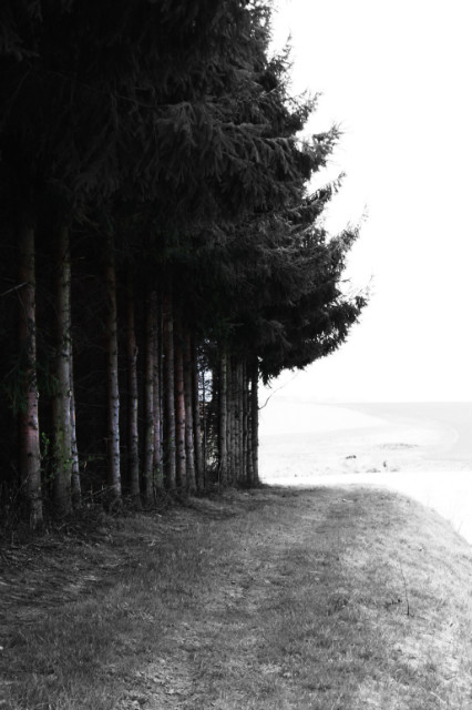 This road never looked so lonely