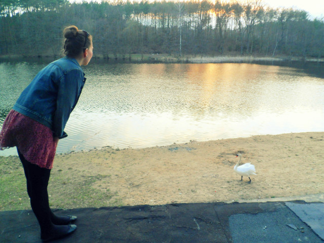 SWAN