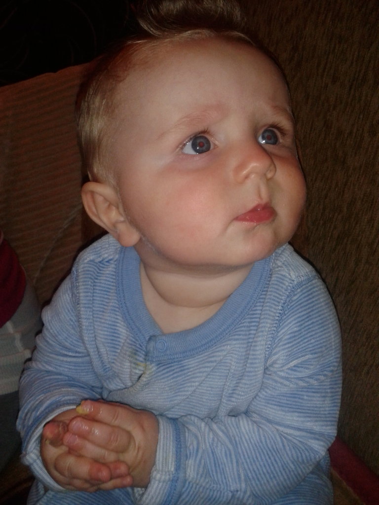 Wikto 