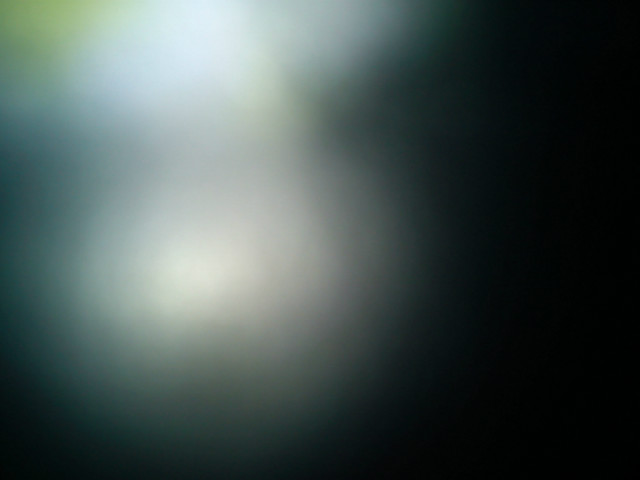 Elusive