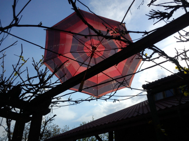 #umbrella