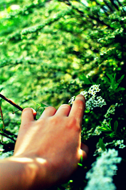 secret garden ;3