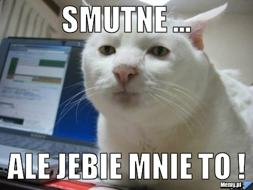 :3