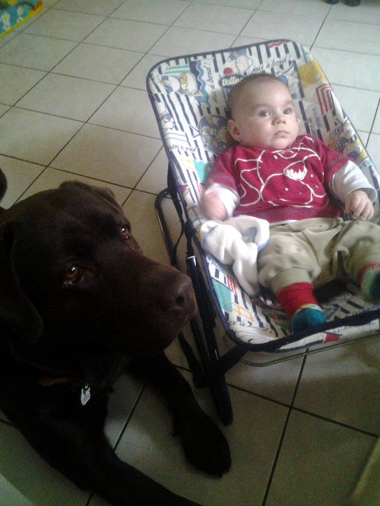 Franek i Borys