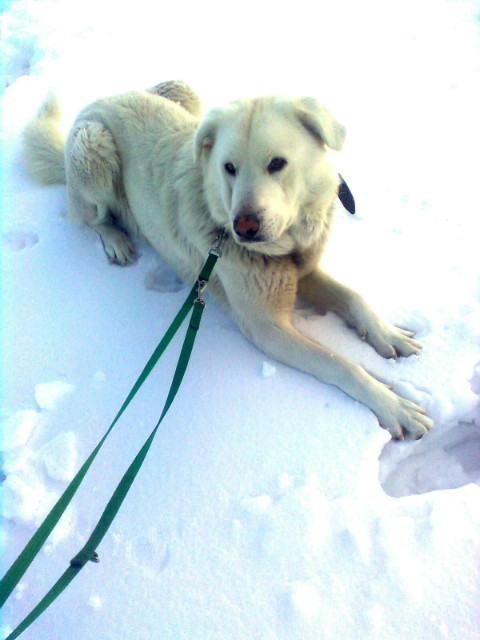 Deki ;d 