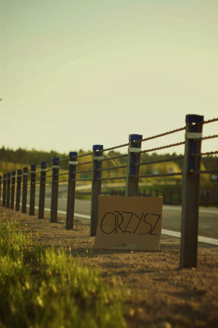orzysz
