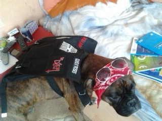 Baron se xD