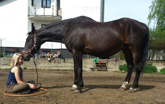 Dalijsko