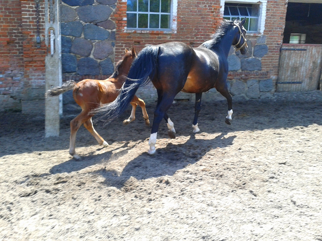 Misiuu ;**