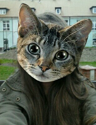 ja kot xd