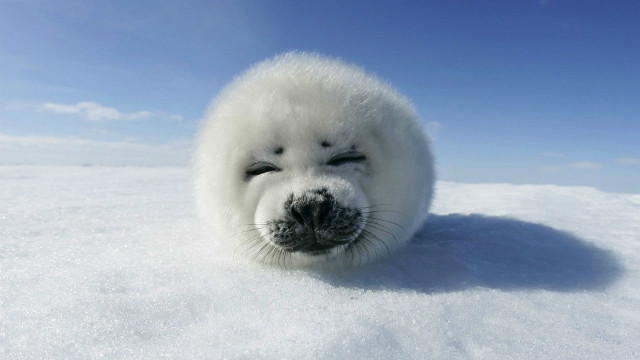 :3