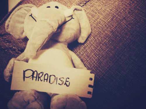 Paradise.