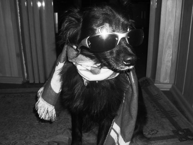 Dzie 2