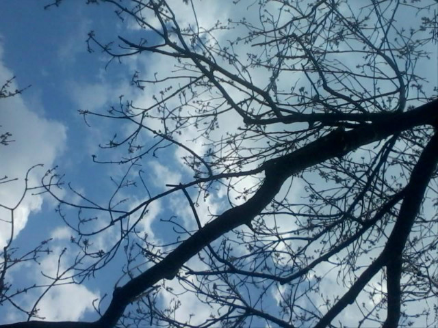 Takie tam :D