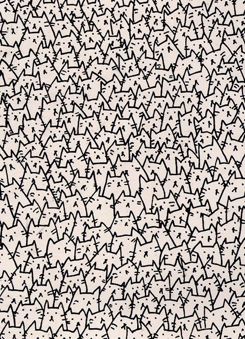 cats.cats everywhere..