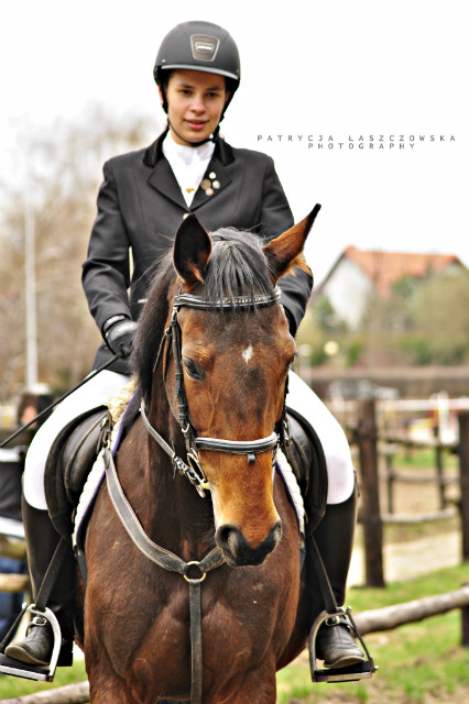 Z Sarenk