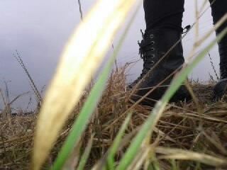 Ubir si nie liczy ;p