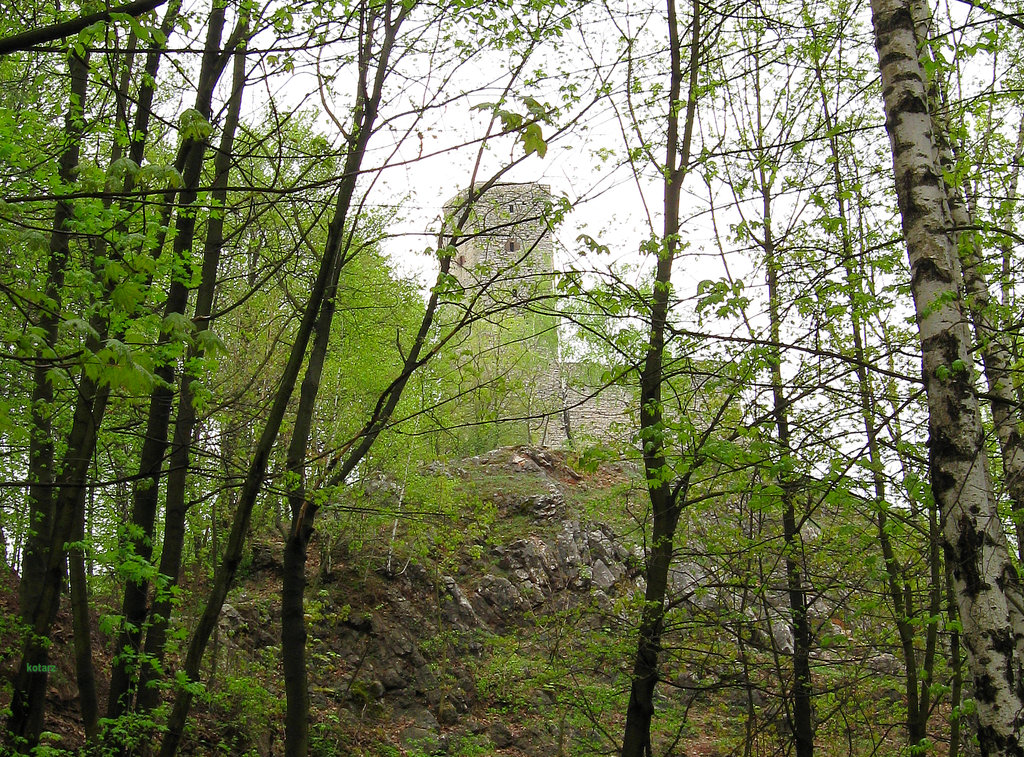 Zamek w Chcinach