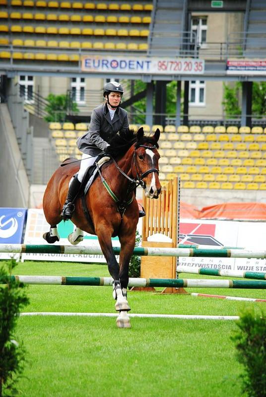 IV Mistrzostwa Gorzowa 2013