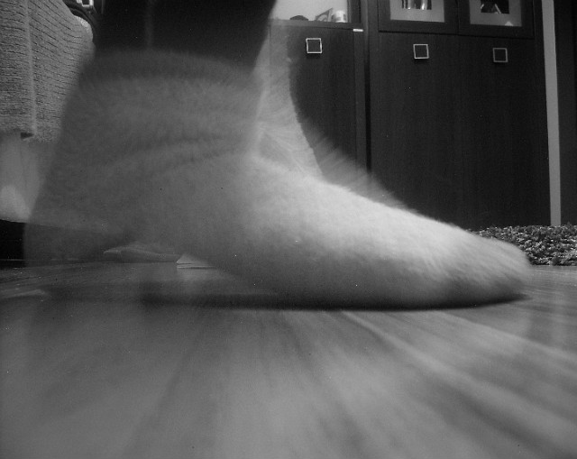 lewitujce stopy.