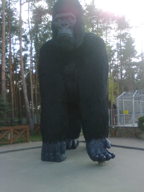 King Kong w moim miecie