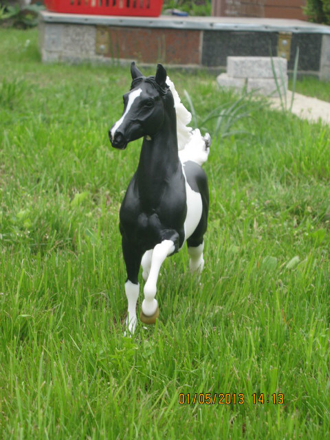 Moje Breyer