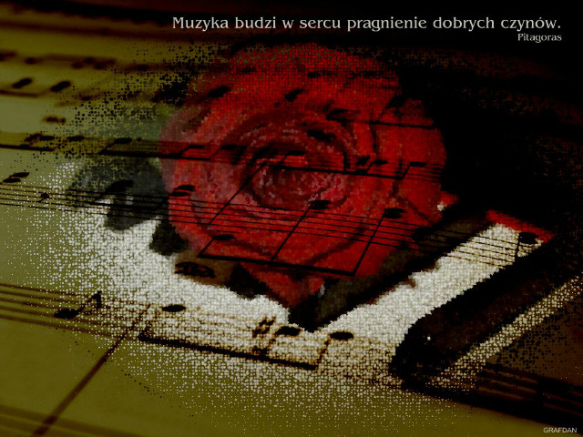 dziki muzyce yj...