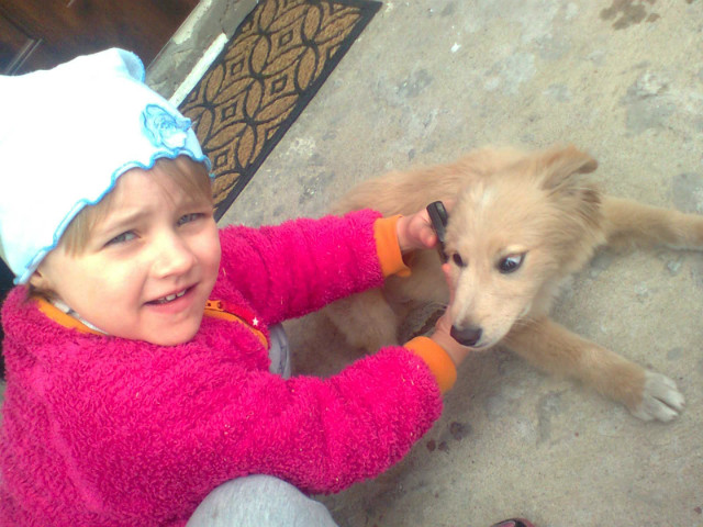 Amelusia :* 