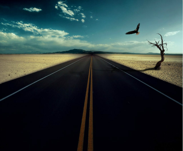 Road of life