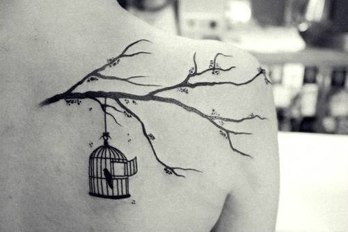 in a cage