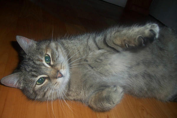 Franusia ;(