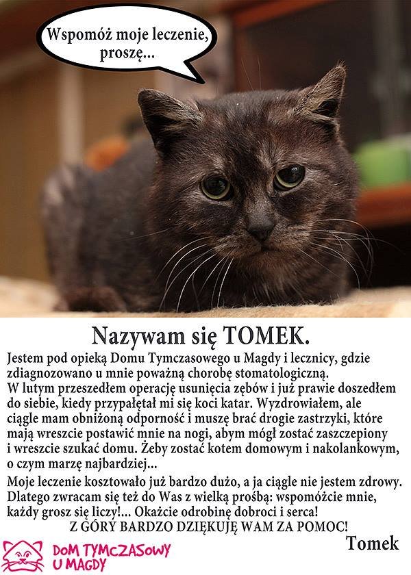 Pomcie Tomkowi!