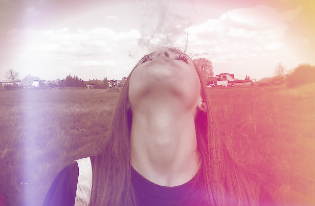 JOW JOW XD