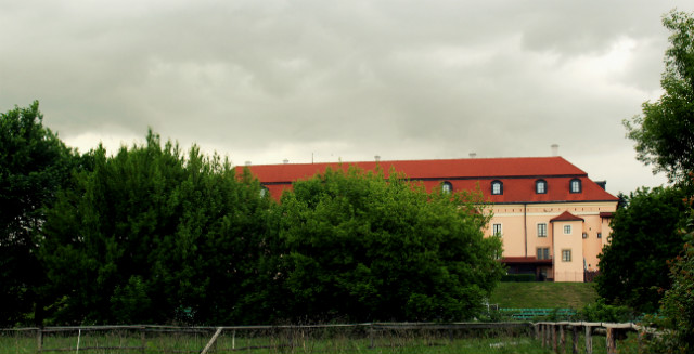 Poniedziaek