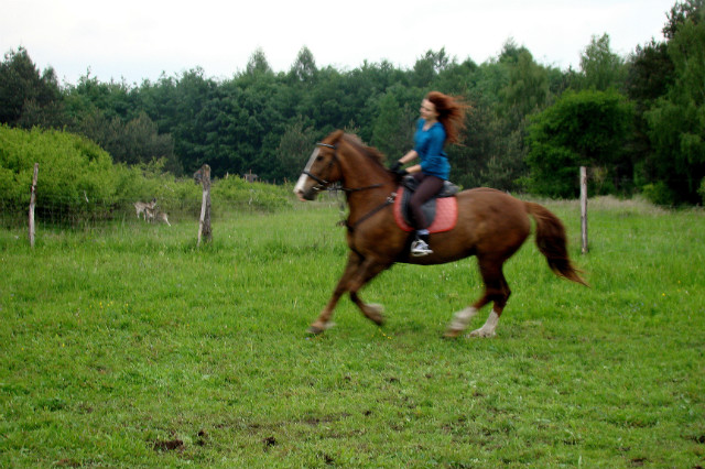 koniur.