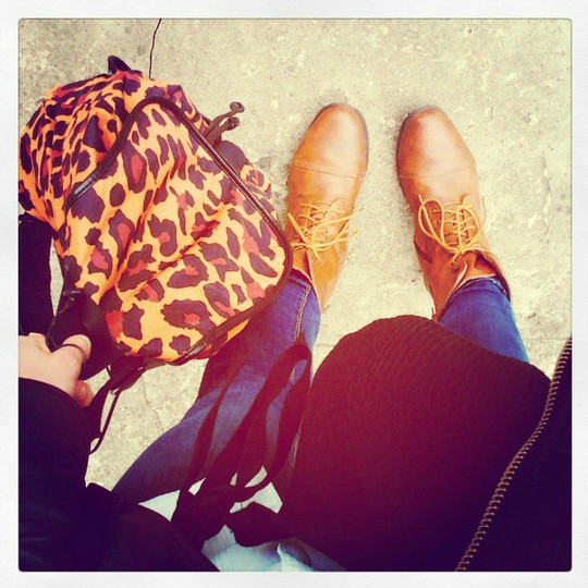 leopard