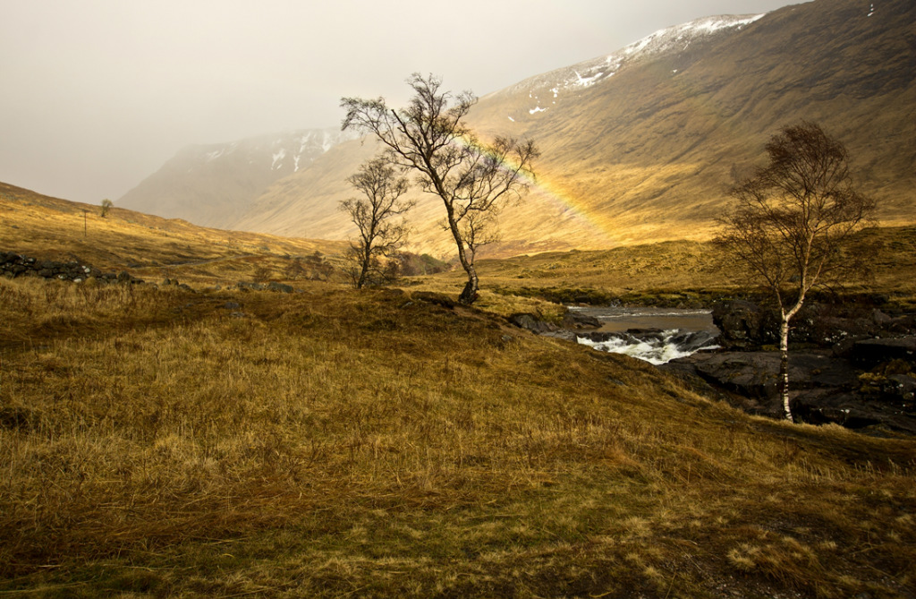 Highlands-Szkocja
