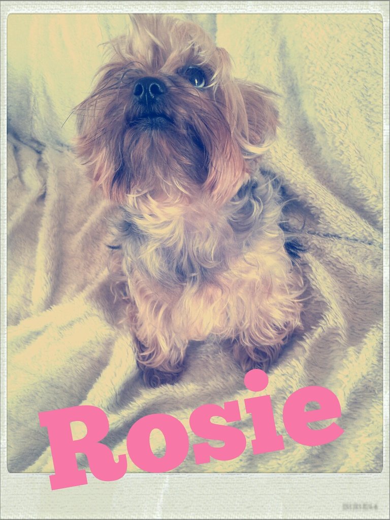 Zuzia, Rosie :)