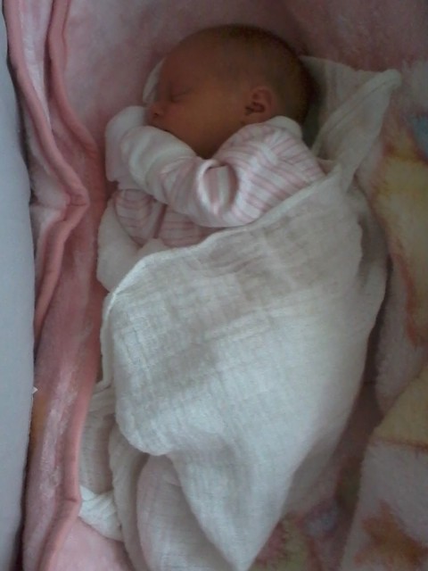 44.-Oliwka;**