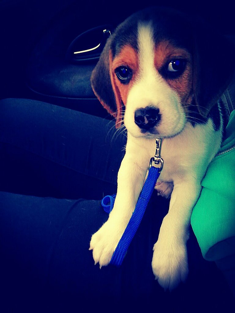 *.*
