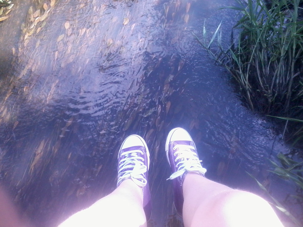 Wodaa 