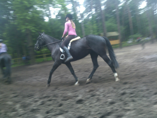 :* K.C.H